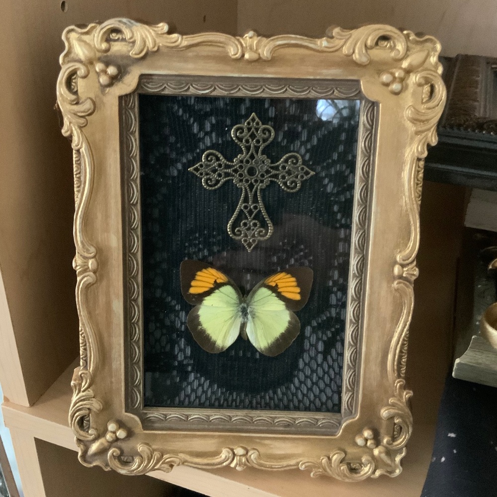 Real framed butterfly